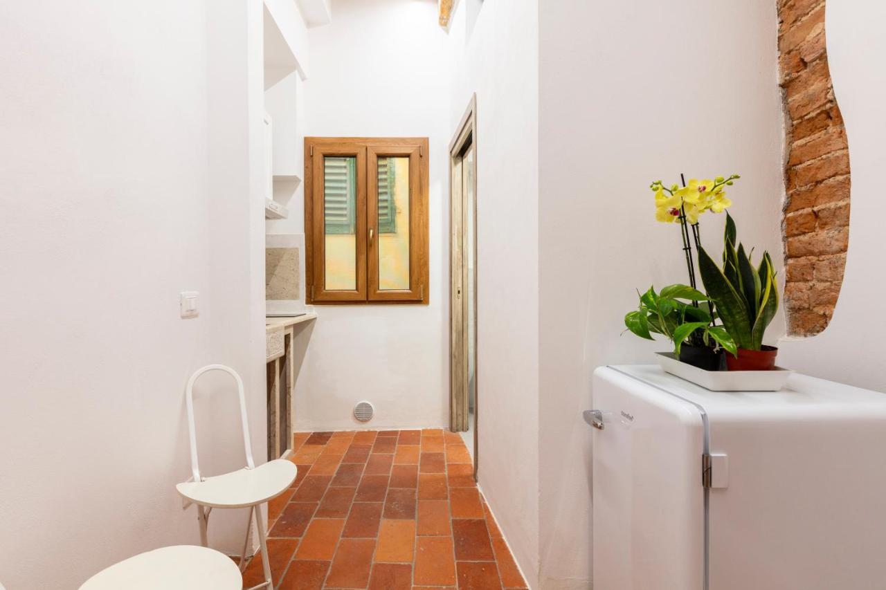 Central Cool Apt S. Spirito, Ac Firenze Esterno foto